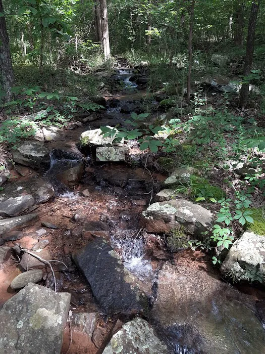 Piney Bay Campground 9