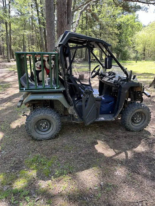 Sorghum Hollow Horse Camp 3