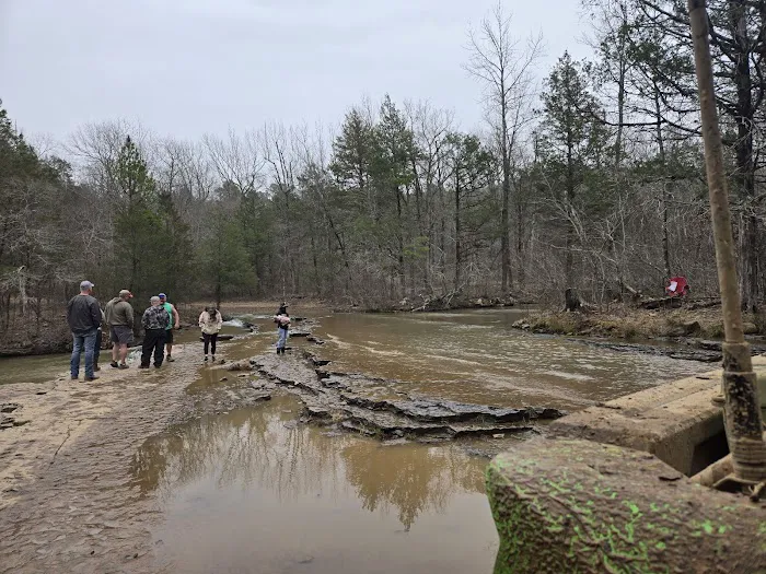 Sorghum Hollow Horse Camp 2