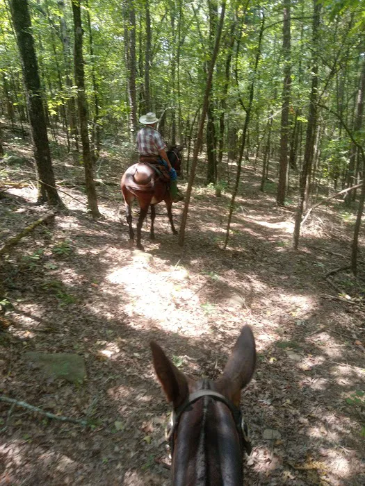 Lonesome D Horse Camp 0