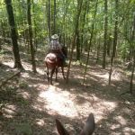 Lonesome D Horse Camp