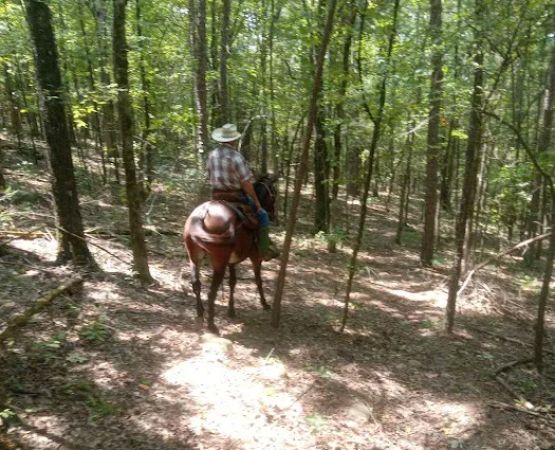 Lonesome D Horse Camp