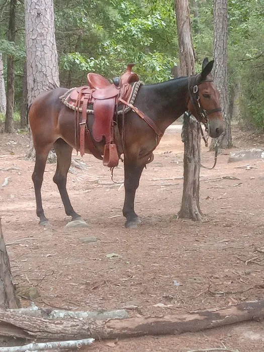 Lonesome D Horse Camp 3