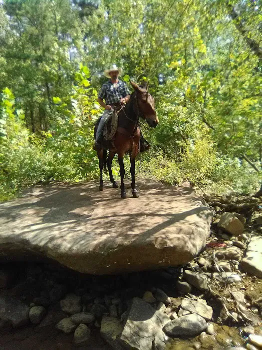 Lonesome D Horse Camp 8