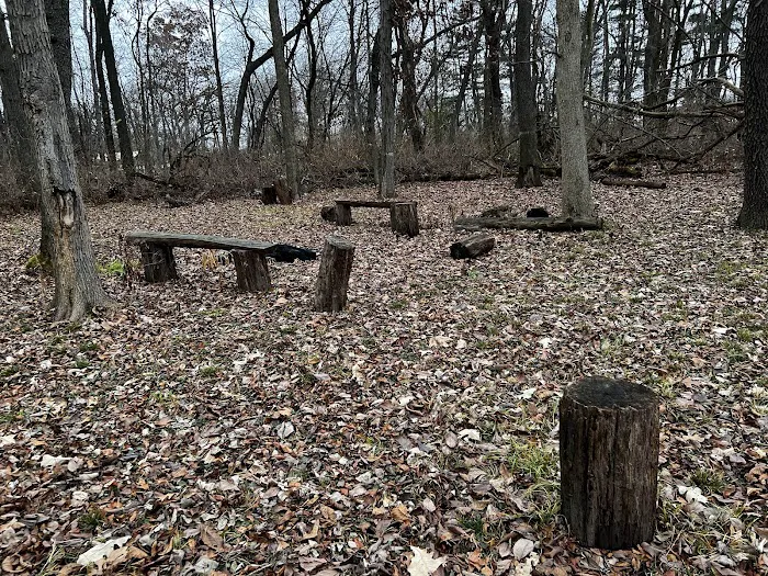Sherman R Cook Memorial Scout Park (Cook Woods) 1