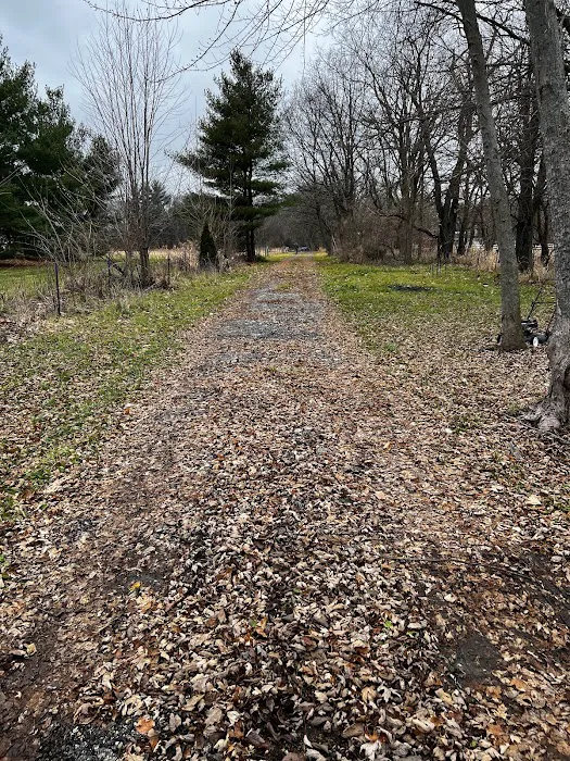 Sherman R Cook Memorial Scout Park (Cook Woods) 0
