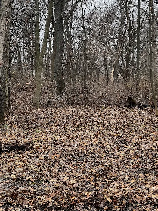 Sherman R Cook Memorial Scout Park (Cook Woods) 2
