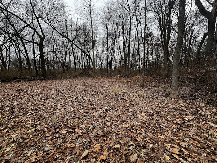 Sherman R Cook Memorial Scout Park (Cook Woods) 4