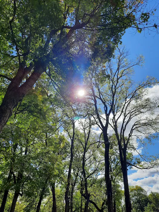 Chippewa Campground 8