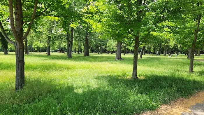 Chippewa Campground 3