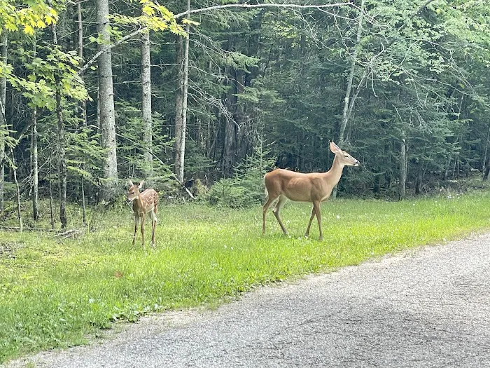 Potawatomi Campground 7