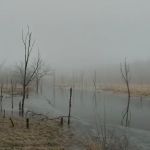 White Oak Primative Camp