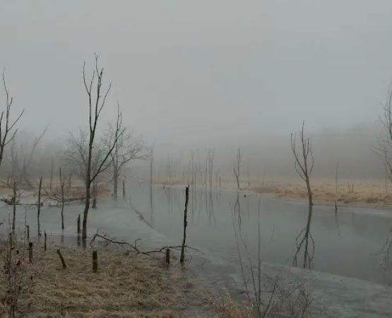 White Oak Primative Camp