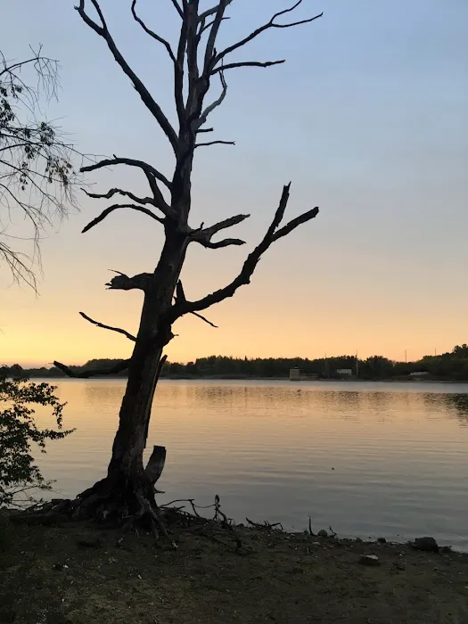 White Oak Primative Camp 8