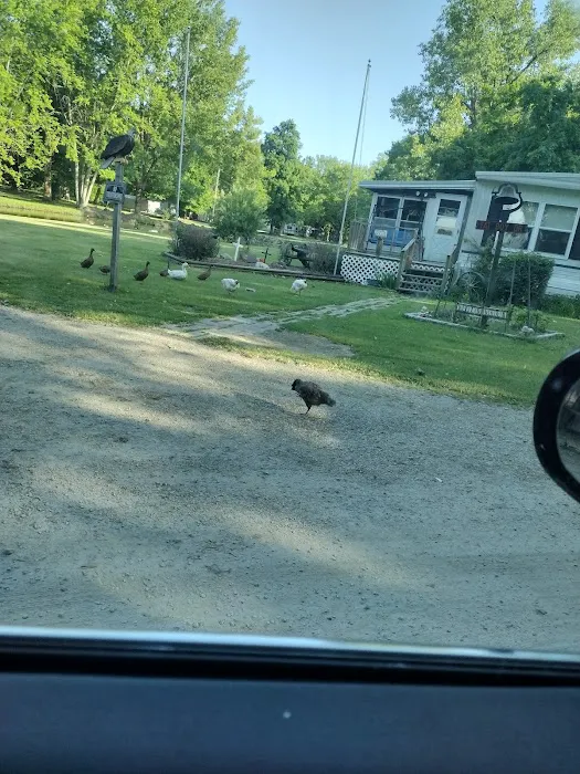Wildwood Campground 4