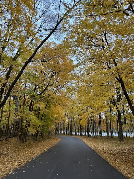 Gander Bay Campground 8