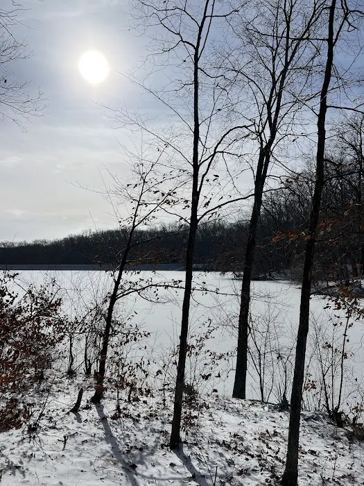 Gander Bay Campground 5