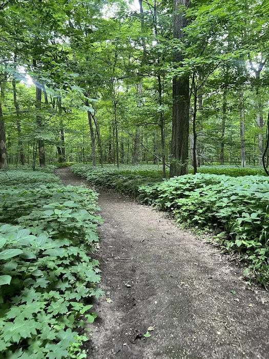 Gander Bay Campground 9