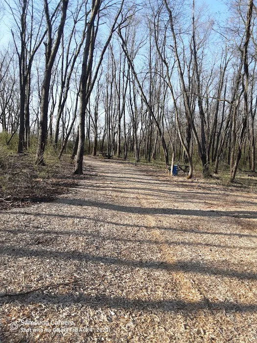 Salt Creek Area 21 Campsite 3