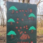 Salt Creek Area 21 Campsite