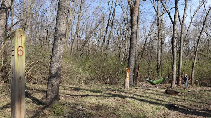 Salt Creek Area 21 Campsite 8