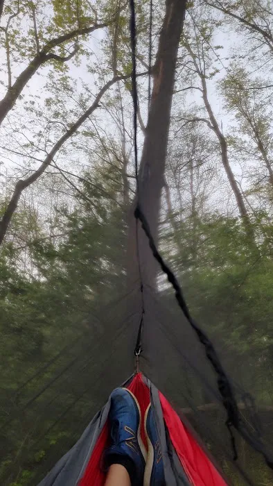 Salt Creek Area 21 Campsite 6