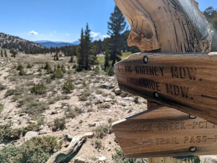 Cottonwood Pass Trailhead Campground 4