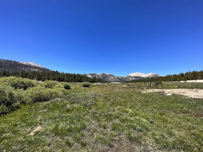 Cottonwood Pass Trailhead Campground 7