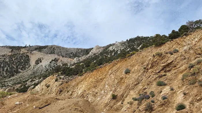 Cottonwood Pass Trailhead Campground 9
