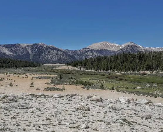 Horseshoe Meadow Campground