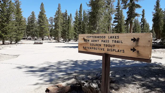 Horseshoe Meadow Campground 2