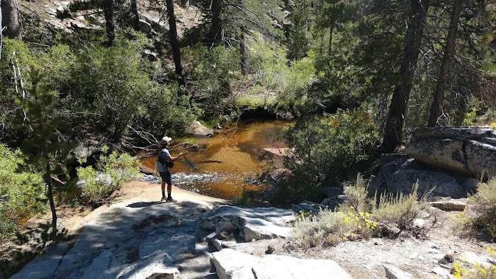Horseshoe Meadow Campground 5