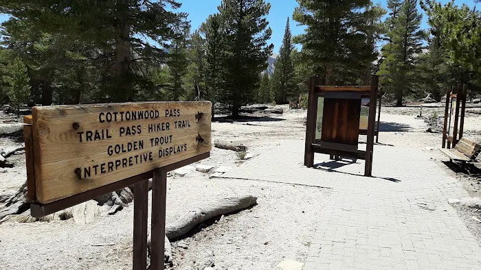 Horseshoe Meadow Campground 1