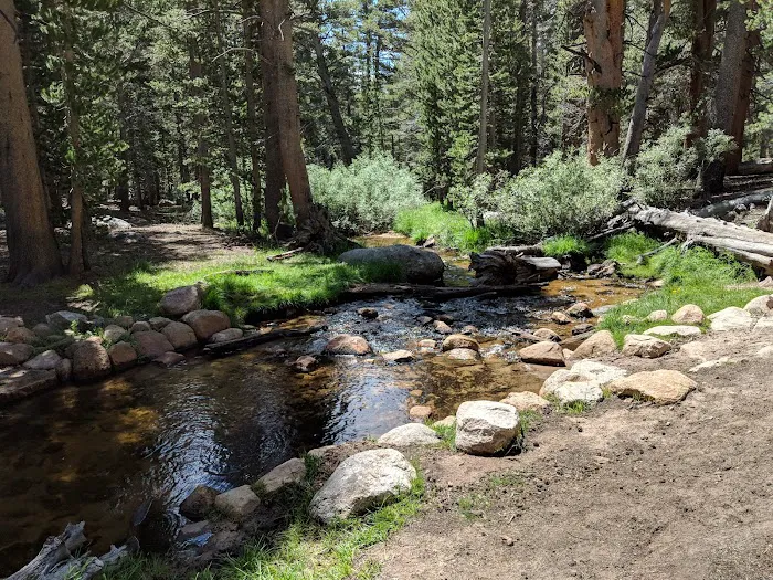 Horseshoe Meadow Campground 7