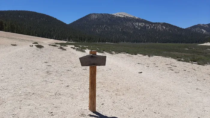 Horseshoe Meadow Campground 8
