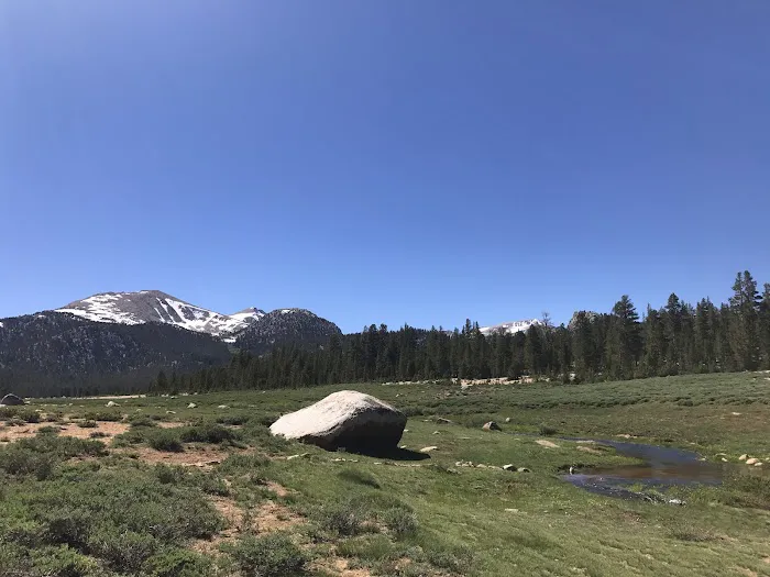 Horseshoe Meadow Equestrian Camp 0