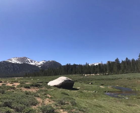 Horseshoe Meadow Equestrian Camp