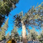 Cottonwood Lakes Walk in Campground