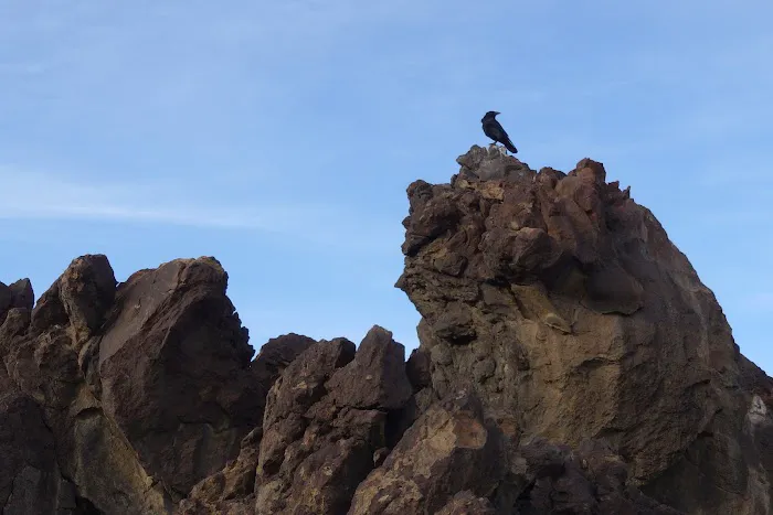 Fossil Falls Campgrounds Recreation Site 4