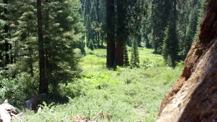 Fraiser mills camp ground 4