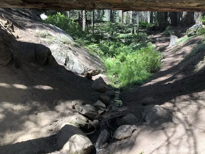 Fraiser mills camp ground 6