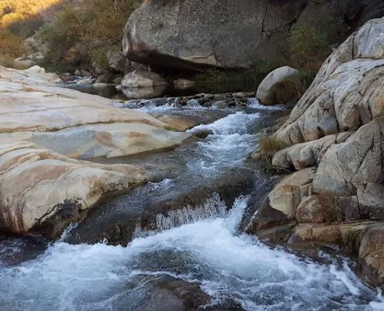 Wishon Campground