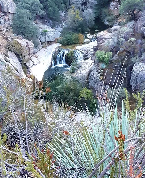 Wishon Campground 3