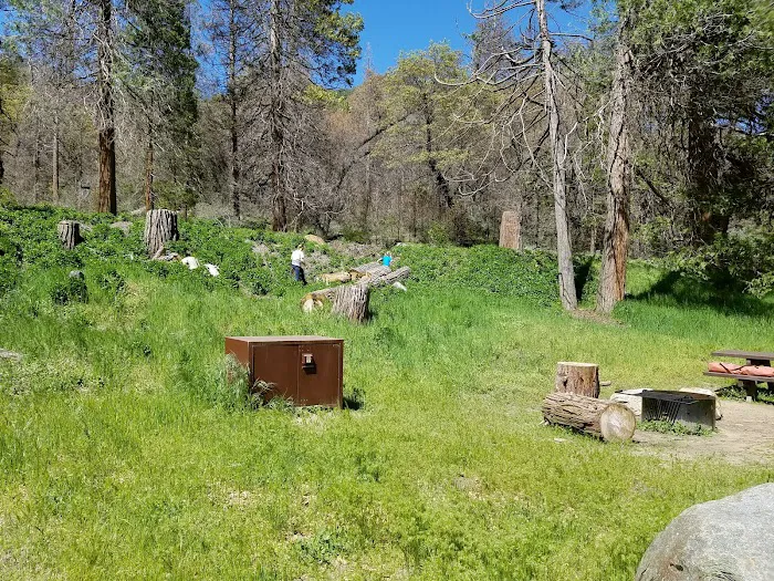 Wishon Campground 5