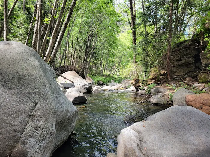 Wishon Campground 6