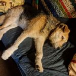 Airheads at Camp Nelson