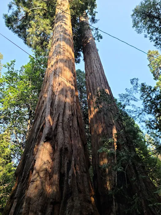 Belknap Campground 2
