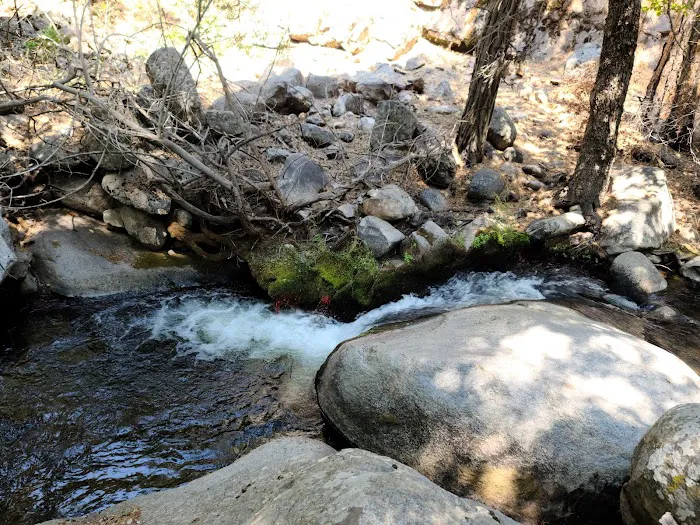 Belknap Campground 1