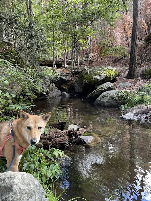 Belknap Campground 6