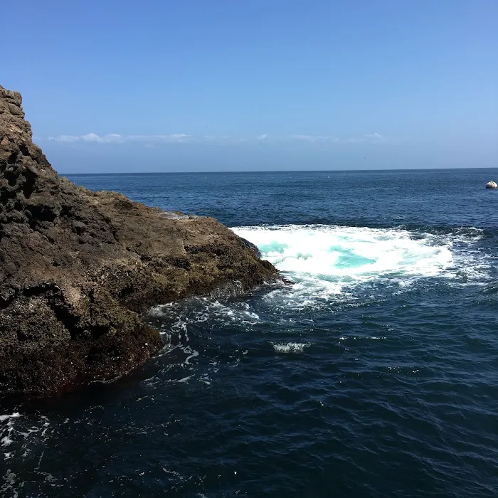East Anacapa Island Landing Cove 3